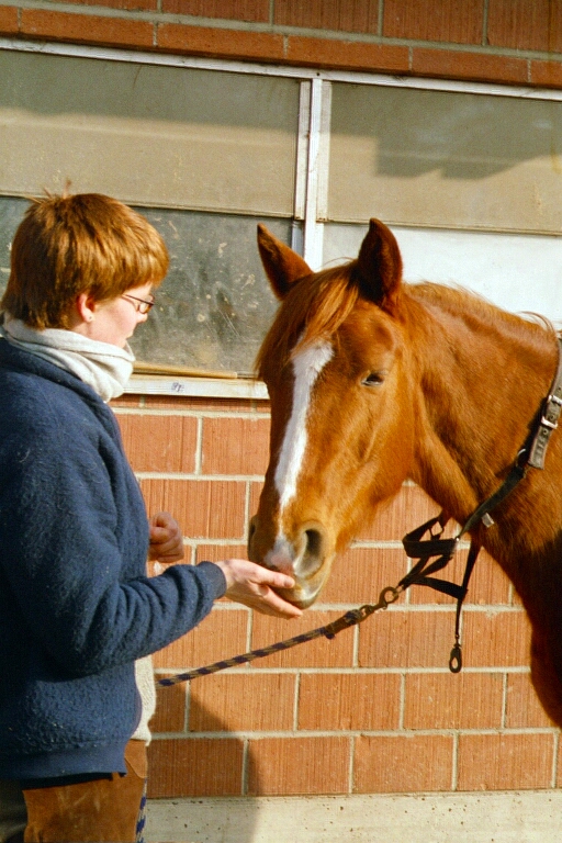 015_12a.jpg