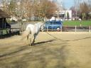 Neptuno in action