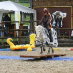 Pferd und Zebra ganz souverän auf der Wippe