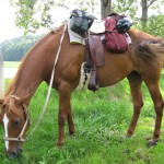 Fräsy voll bepackt beim Znüni an der Thur