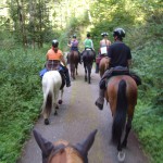 Unterwegs durch das Alptal