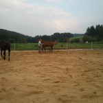 Etwas Gymnastik musste sein an unserem "freien" Tag in Lenzkirch