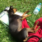 Ja, Wilma kann wirklich auch mal müde sein!