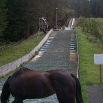 Vorbei an der Skisprungschanze in der Eisenbreche (Schluchsee)