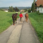 Bartlehof, wir kommen!