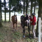 Die Pferde wären lieber noch etwas länger geblieben