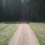 und immer wieder rein in die Wälder!