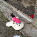 Und Wilma überwacht :-)