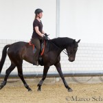 Ruth Giffels Reitkurs
