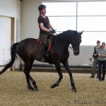 Ruth Giffels Reitkurs
