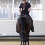 Ruth Giffels Reitkurs