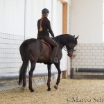 Ruth Giffels Reitkurs