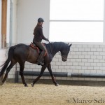 Ruth Giffels Reitkurs