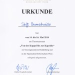 SRS von der Koppelbis zur Kapriole - Steffi (1)