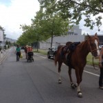 Foto 36