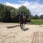 Foto 6