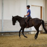Klassische Dressur mit Ruth Giffels