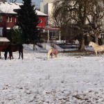 winter3