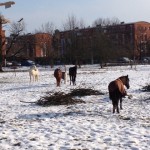 winter4