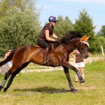 IMG_0036