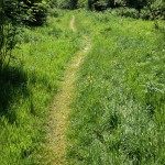 IMG_4494