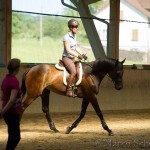 Klassische Dressur mit Ruth Giffels