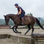 IMG_3811
