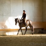 Desmond O'Brien - Reitkurs 2016