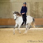 Desmond O'Brien - Reitkurs 2016