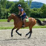 Geländetraining im Military-Garden in Avenches (CH)