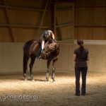 August 2016 - Ruth Giffels Reitkurs
