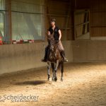 August 2016 - Ruth Giffels Reitkurs