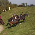 hang-gruppe