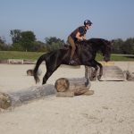 schmal